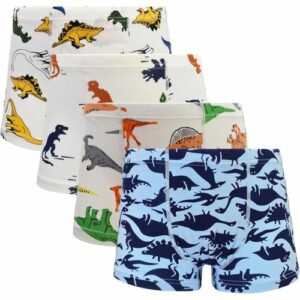 6 In 1 Boy Boxers